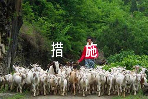 儿童如何在游戏中学习篮球技术_2